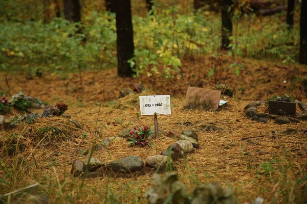 Cimitero degli animali domestici nella foresta — Foto Stock