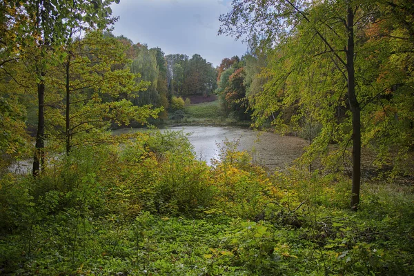 Obraz jezero a stromy s barevnými listy — Stock fotografie