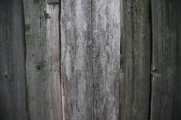 Old wood background — Stock Photo, Image