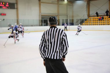 Hokey hakem denetimi