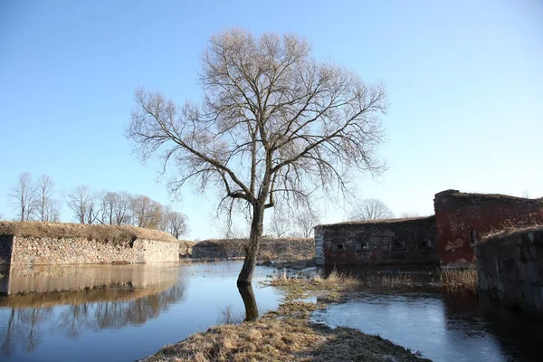 Gryr Daugavpils fästning — Stockfoto