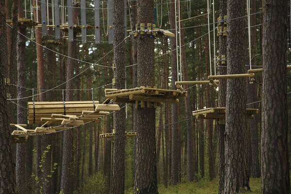 Sentieri sospesi nel parco avventura — Foto Stock