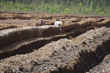 Bir yığın istiflenmiş bataklık turbası.