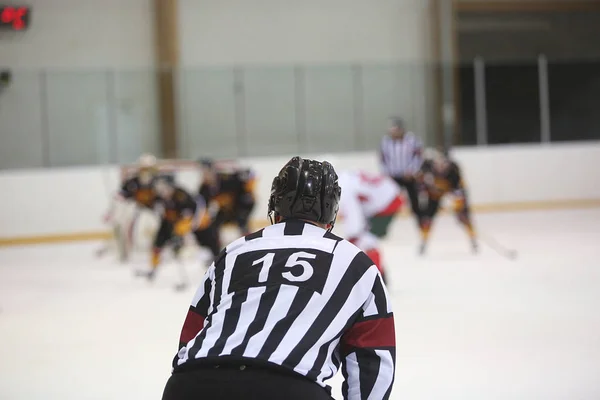 Rear view of the ice hockey referee — Stock Photo, Image