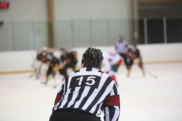 Vista trasera del árbitro de hockey sobre hielo Fotos de stock libres de derechos