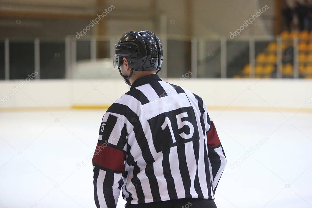 rear view of the ice hockey referee