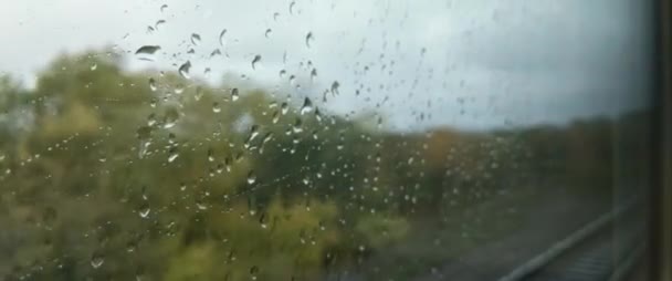 Esőcseppek folynak le a vonat ablakán. Elsuhannak a fák. Kilátás a vonatból. Természet, gyönyörű erdő. Hosszú út.