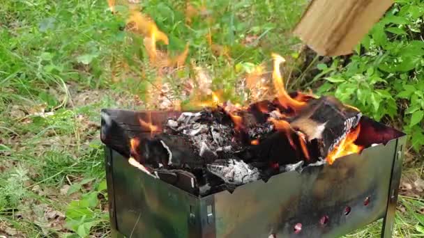 Brucia Legna Alla Griglia Carboni Accendono Fiamma Barbecue Nella Natura — Video Stock