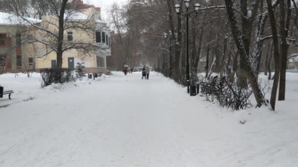 Τρένο Περνάει Μέσα Από Την Πόλη Σιδηροδρομικός Κοντά Στην Πόλη — Αρχείο Βίντεο