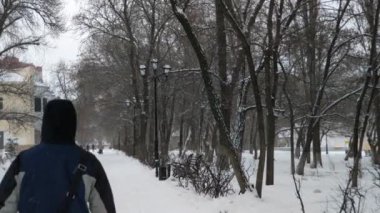Gündüz vakti beyaz bir sokağa kar yağar. Fenerli karlı park sokağı.