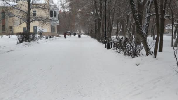 Auf Einer Weißen Straße Fällt Tagsüber Schnee Verschneite Parkallee Mit — Stockvideo