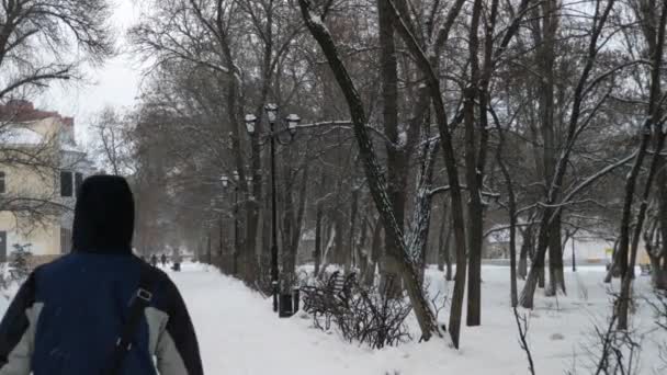 雪下在一条白街上 有灯笼的雪地公园小巷 — 图库视频影像
