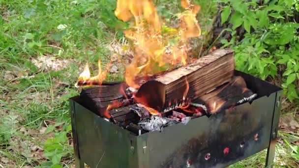 Drewno Opalane Grillu Drewno Opałowe Spala Węgiel Grill Naturze — Wideo stockowe