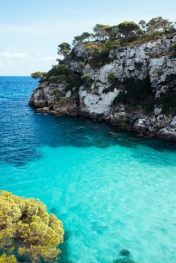 Menorca 'da çam ağaçları ve şeffaf turkuaz su koylu beyaz kireçtaşı kayalıklar.
