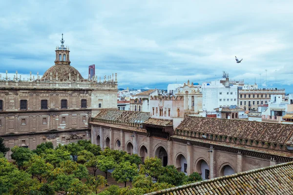 Courtyard Orange Trees Cathedral Seville City Background Flying Dove — Stock Photo, Image