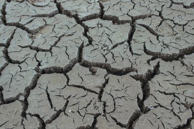 Kuraklık içindeki bir bataklığın kuru zemin dokusu çatlamış..