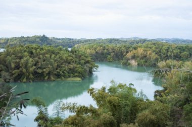 Ormandaki nehir manzarası. Wushantou Barajı, Tainan, Tayvan