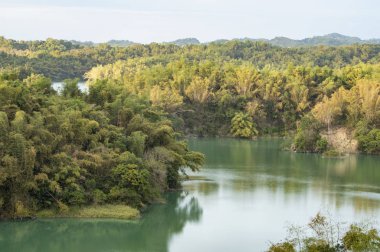 Ormandaki nehir manzarası. Wushantou Barajı, Tainan, Tayvan