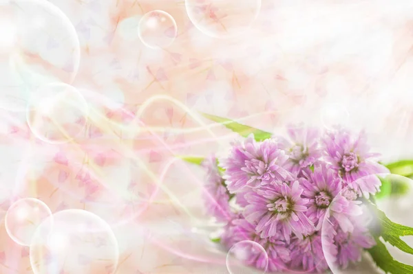 Primavera Flores Fundo Com Luzes Bokeh — Fotografia de Stock