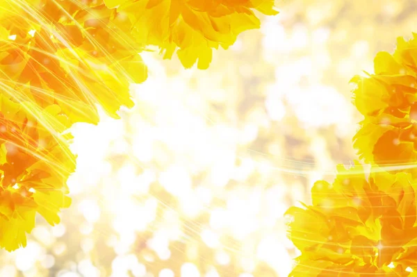 天空背景上的黄色花朵 — 图库照片