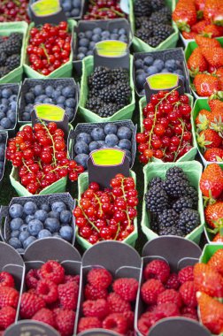 Çeşitli olgun taze meyveler.
