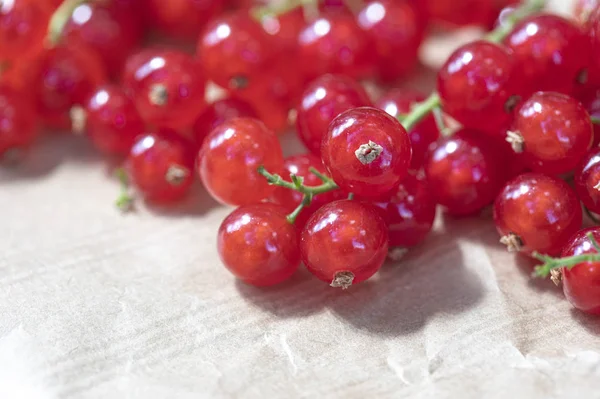 Rote Johannisbeere Frische Beeren — Stockfoto