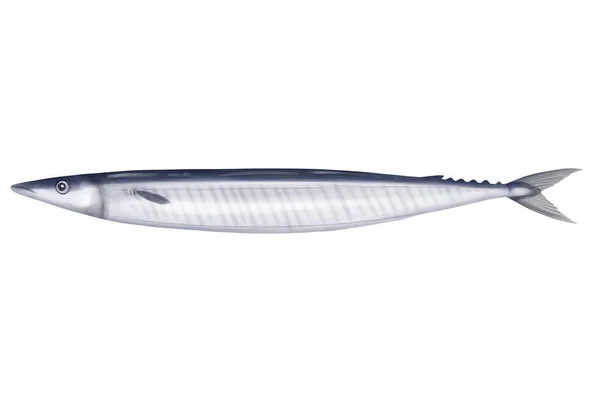 Illustration Fish Isolated White Background — Stock Photo, Image