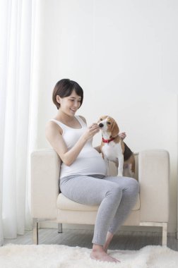 Genç hamile Asyalı kadın köpeğiyle oynuyor.