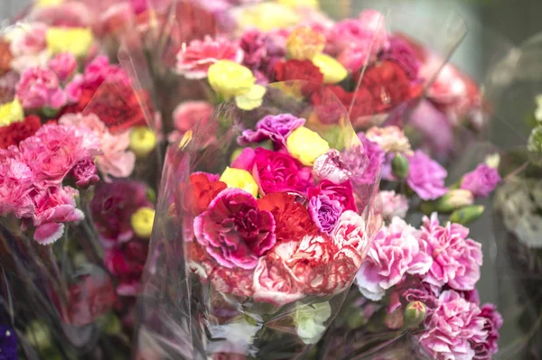 Hermosas Flores Rosadas Jardín — Foto de Stock