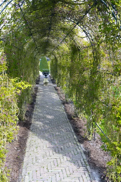 Grüner Tunnel Park Von Amsterdam — Stockfoto