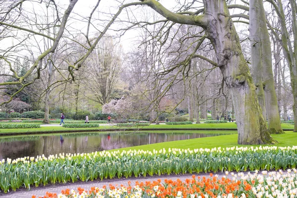 Blühender Garten Park — Stockfoto