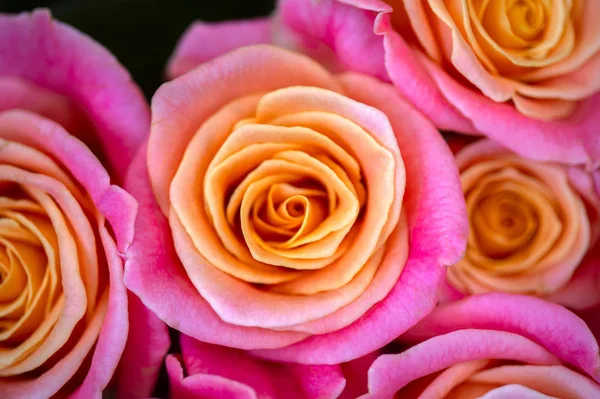 Красивый Весенний Букет Роз — стоковое фото