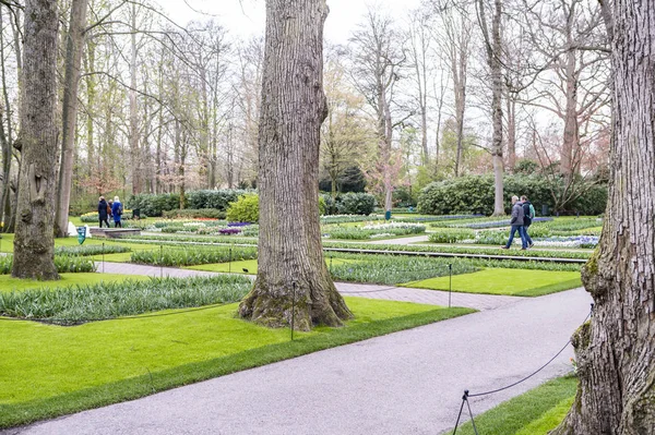 Vista Del Parque Primavera — Foto de Stock