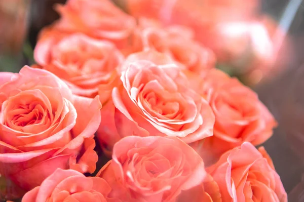 Όμορφο Γαμήλιο Μπουκέτο Τριαντάφυλλα — Φωτογραφία Αρχείου