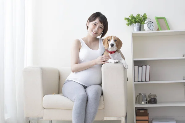 Молодая Беременная Азиатка Сидит Кресле Своей Собакой — стоковое фото