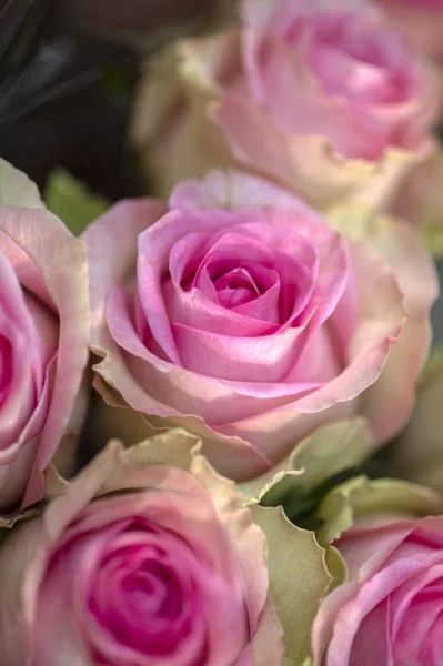 バラの美しい結婚式の花束 — ストック写真