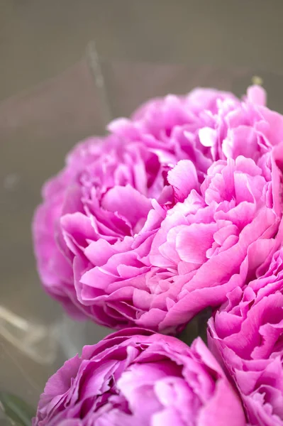 Красивий Букет Рожевих Піоновидних Квітів — стокове фото