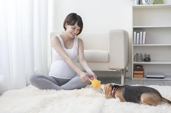 Молодая Беременная Азиатка Играет Своей Собакой — стоковое фото