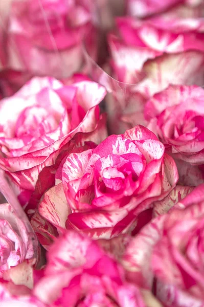 Hermoso Ramo Boda Rosas — Foto de Stock