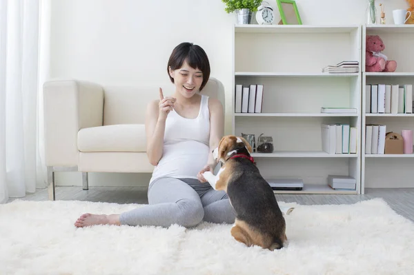 Молодая Беременная Азиатка Играет Своей Собакой — стоковое фото
