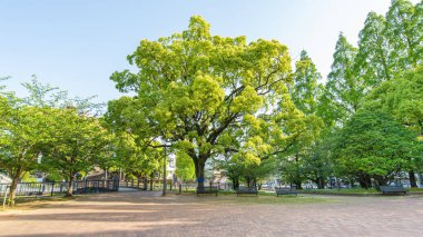 Atom Bombası Hipomerkez Parkı manzarası (Nagasaki, Japonya)