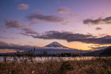 Önünde çimen çiçekleri olan Fuji Dağı, Kawaguchi Gölü 'nde alacakaranlık gökyüzü (Yamanashi Bölgesi, Japonya)