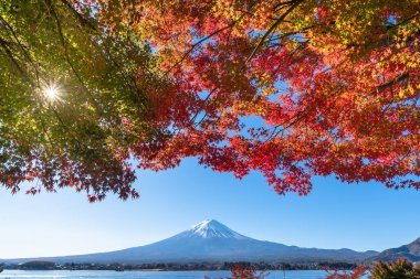 Sonbaharda renkli akçaağaç yapraklarıyla Fuji Dağı Kawaguchi Gölü 'nde (Yamanashi Bölgesi, Japonya)