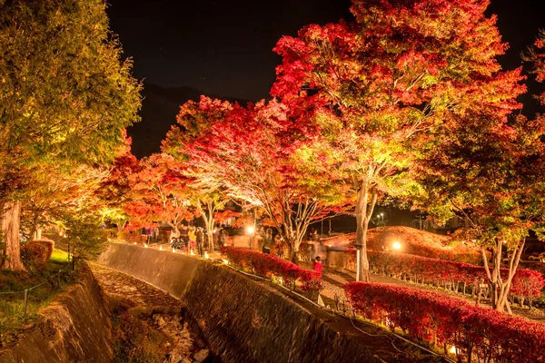 秋天的夜晚 日本山崎市 在川口湖上点亮枫树走廊 Momiji Kairo — 图库照片