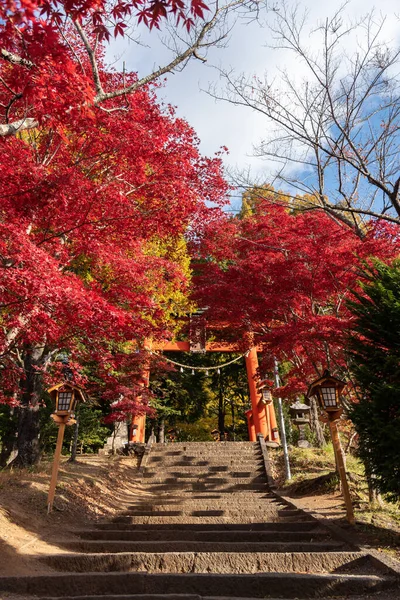 Japońska Brama Torii Drabina Pagody Chureito Jesienią Arakurayama Sengen Park — Zdjęcie stockowe