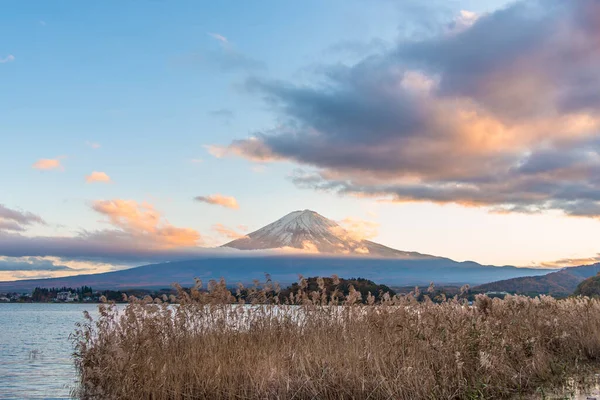 Góra Fuji Kwiatami Trawy Pierwszym Planie Nad Jeziorem Kawaguchi Prefektura — Zdjęcie stockowe