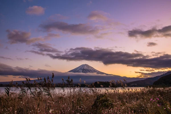 Góra Fuji Kwiatami Trawy Pierwszym Planie Niebo Nad Jeziorem Kawaguchi — Zdjęcie stockowe