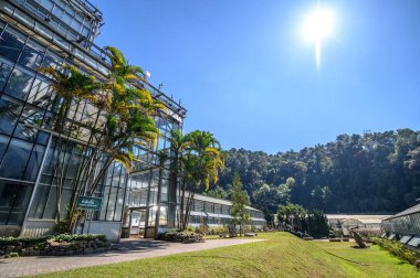 Mae Rim Bölgesi 'ndeki Queen Sirikit Botanik Bahçesi' ndeki Glasshouse Kompleksi (Chiang Mai, Tayland)