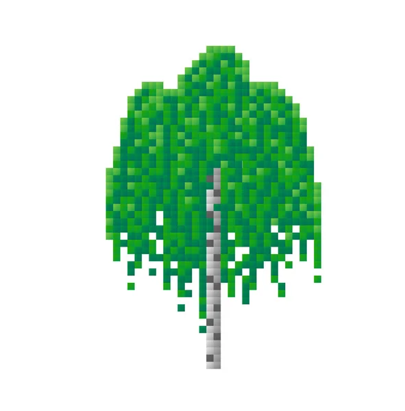 Pixel berken, pixel art op witte achtergrond — Stockvector