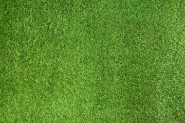 Yeşil çimen arka planı. Resim bir metin için boşluk içerir.